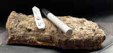 Load image into Gallery viewer, Real Raw Cork No 107 - Orchid, Plant Mounts, Terrariums, Pets