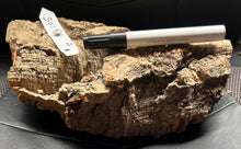 Load image into Gallery viewer, Real Raw Cork No 105 - Orchid, Plant Mounts, Terrariums, Pets