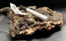 Load image into Gallery viewer, Real Raw Cork No 102 - Orchid, Plant Mounts, Terrariums, Pets