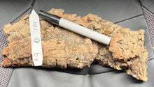 Load image into Gallery viewer, Real Raw Cork No 101 - Orchid, Plant Mounts, Terrariums, Pets