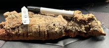 Load image into Gallery viewer, Real Raw Cork No 101 - Orchid, Plant Mounts, Terrariums, Pets