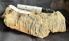 Load image into Gallery viewer, Real Raw Cork No 327 - Orchid, Plant Mounts, Terrariums, Pets