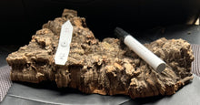 Load image into Gallery viewer, Real Raw Cork No 162 - Orchid, Plant Mounts, Terrariums, Pets
