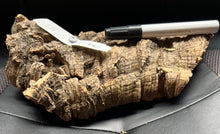 Load image into Gallery viewer, Real Raw Cork No 172 - Orchid, Plant Mounts, Terrariums, Pets