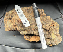 Load image into Gallery viewer, Real Raw Cork No 713 - Orchid, Plant Mounts, Terrariums, Pets