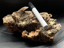 Load image into Gallery viewer, Real Raw Cork No 713 - Orchid, Plant Mounts, Terrariums, Pets