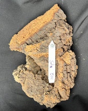 Load image into Gallery viewer, Real Raw Cork No 102 - Orchid, Plant Mounts, Terrariums, Pets