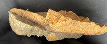 Load image into Gallery viewer, Real Raw Cork No 102 - Orchid, Plant Mounts, Terrariums, Pets