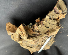 Load image into Gallery viewer, Real Raw Cork No 105 - Orchid, Plant Mounts, Terrariums, Pets