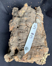 Load image into Gallery viewer, Real Raw Cork No 107 - Orchid, Plant Mounts, Terrariums, Pets