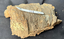 Load image into Gallery viewer, Real Raw Cork No 107 - Orchid, Plant Mounts, Terrariums, Pets