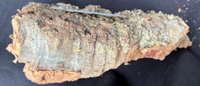 Load image into Gallery viewer, Real Raw Cork No 109 - Orchid, Plant Mounts, Terrariums, Pets