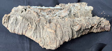 Load image into Gallery viewer, Real Raw Cork No 111 - Orchid, Plant Mounts, Terrariums, Pets