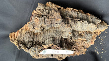 Load image into Gallery viewer, Real Raw Cork No 112 - Orchid, Plant Mounts, Terrariums, Pets