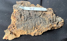 Load image into Gallery viewer, Real Raw Cork No 113 - Orchid, Plant Mounts, Terrariums, Pets