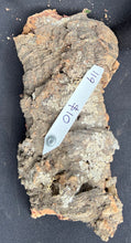 Load image into Gallery viewer, Real Raw Cork No 119 - Orchid, Plant Mounts, Terrariums, Pets