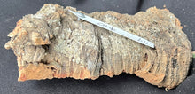 Load image into Gallery viewer, Real Raw Cork No 119 - Orchid, Plant Mounts, Terrariums, Pets