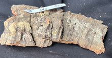 Load image into Gallery viewer, Real Raw Cork No 122 - Orchid, Plant Mounts, Terrariums, Pets