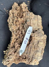 Load image into Gallery viewer, Real Raw Cork No 123 - Orchid, Plant Mounts, Terrariums, Pets