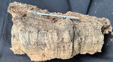 Load image into Gallery viewer, Real Raw Cork No 123 - Orchid, Plant Mounts, Terrariums, Pets