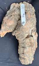 Load image into Gallery viewer, Real Raw Cork No 125 - Orchid, Plant Mounts, Terrariums, Pets