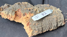 Load image into Gallery viewer, Real Raw Cork No 131 - Orchid, Plant Mounts, Terrariums, Pets