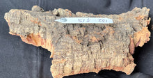 Load image into Gallery viewer, Real Raw Cork No 132 - Orchid, Plant Mounts, Terrariums, Pets