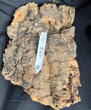 Load image into Gallery viewer, Real Raw Cork No 134 - Orchid, Plant Mounts, Terrariums, Pets