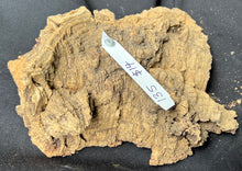 Load image into Gallery viewer, Real Raw Cork No 135 - Orchid, Plant Mounts, Terrariums, Pets