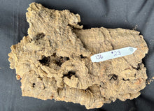 Load image into Gallery viewer, Real Raw Cork No 136 - Orchid, Plant Mounts, Terrariums, Pets
