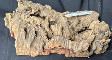Load image into Gallery viewer, Real Raw Cork No 136 - Orchid, Plant Mounts, Terrariums, Pets
