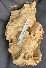 Load image into Gallery viewer, Real Raw Cork No 137 - Orchid, Plant Mounts, Terrariums, Pets
