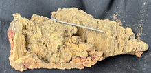 Load image into Gallery viewer, Real Raw Cork No 137 - Orchid, Plant Mounts, Terrariums, Pets