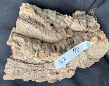 Load image into Gallery viewer, Real Raw Cork No 142 - Orchid, Plant Mounts, Terrariums, Pets