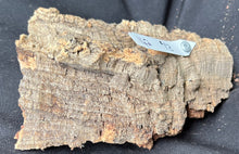 Load image into Gallery viewer, Real Raw Cork No 142 - Orchid, Plant Mounts, Terrariums, Pets