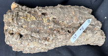 Load image into Gallery viewer, Real Raw Cork No 149 - Orchid, Plant Mounts, Terrariums, Pets