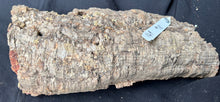 Load image into Gallery viewer, Real Raw Cork No 149 - Orchid, Plant Mounts, Terrariums, Pets