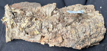 Load image into Gallery viewer, Real Raw Cork No 150 - Orchid, Plant Mounts, Terrariums, Pets