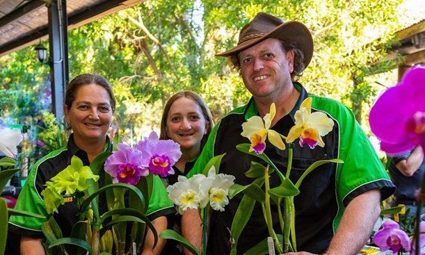 Windemere Orchids - OrchidsRUs sends plants to Sydney, Melbourne, Brisbane, Adelaide, Canberra, Gold Coast we have a Farm Gate Stall Open 7-Days a Week on Mount Tamborine Queensland, Flowering orchid plants for sale all year round, happy growing  