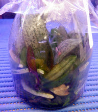 Load image into Gallery viewer, Flask - Phalaenopsis schilleriana x sib - Species
