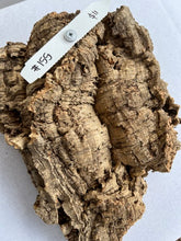 Load image into Gallery viewer, Real Raw Cork No 155 - Orchid, Plant Mounts, Terrariums, Pets
