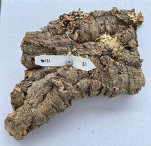 Load image into Gallery viewer, Real Raw Cork No 171 - Orchid, Plant Mounts, Terrariums, Pets
