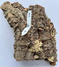 Load image into Gallery viewer, Real Raw Cork No 171 - Orchid, Plant Mounts, Terrariums, Pets
