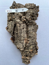 Load image into Gallery viewer, Real Raw Cork No 144 - Orchid, Plant Mounts, Terrariums, Pets

