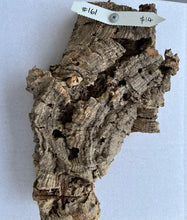 Load image into Gallery viewer, Real Raw Cork No 161 - Orchid, Plant Mounts, Terrariums, Pets
