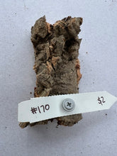 Load image into Gallery viewer, Real Raw Cork No 170 - Orchid, Plant Mounts, Terrariums, Pets
