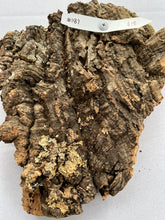 Load image into Gallery viewer, Real Raw Cork No 187 - Orchid, Plant Mounts, Terrariums, Pets
