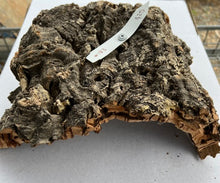 Load image into Gallery viewer, Real Raw Cork No 183 - Orchid, Plant Mounts, Terrariums, Pets
