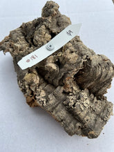 Load image into Gallery viewer, Real Raw Cork No 181 - Orchid, Plant Mounts, Terrariums, Pets
