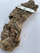 Load image into Gallery viewer, Real Raw Cork No 149 - Orchid, Plant Mounts, Terrariums, Pets
